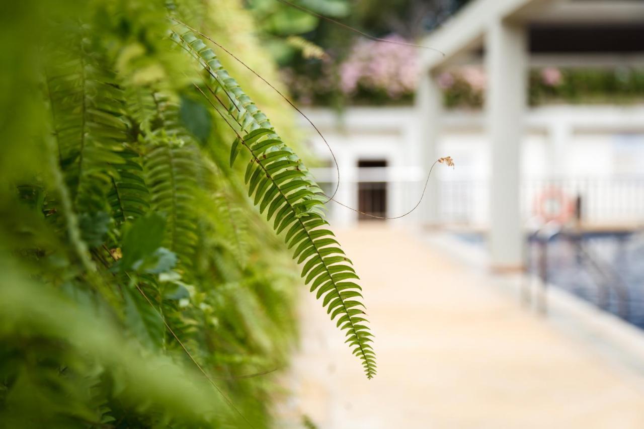Munting Paraiso Puerto Princesa Dış mekan fotoğraf